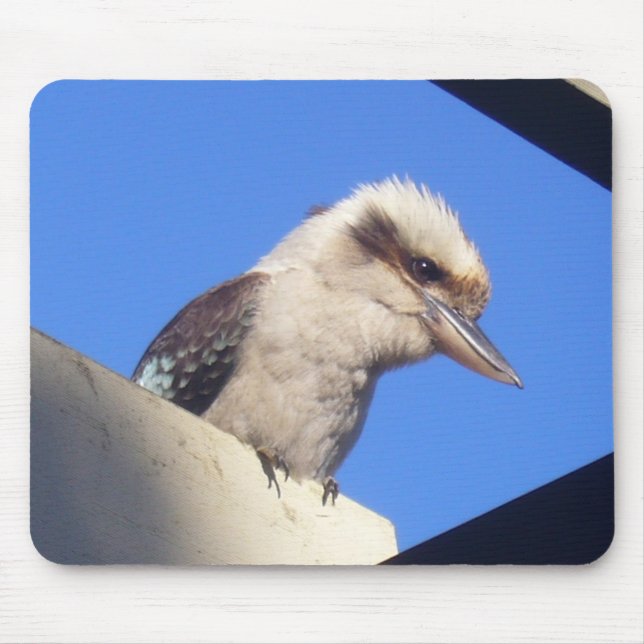 kookaburra mousepad (Front)