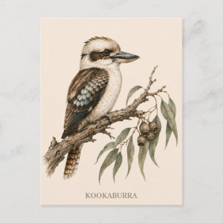 Kookaburra Postcard | Bush Edition