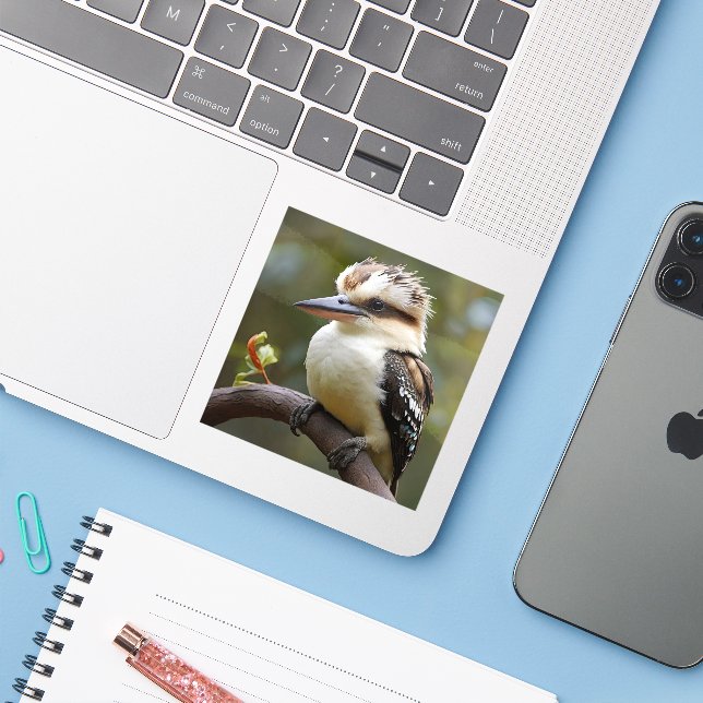 Kookaburra Sticker (Laptop w/ iPhone)