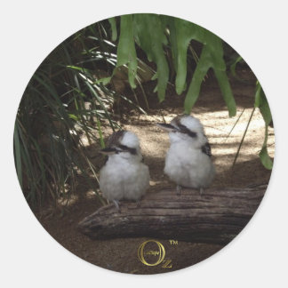 Kookaburras Laughing Classic Round Sticker