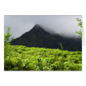 Koolau Mountains (Front Horizontal)