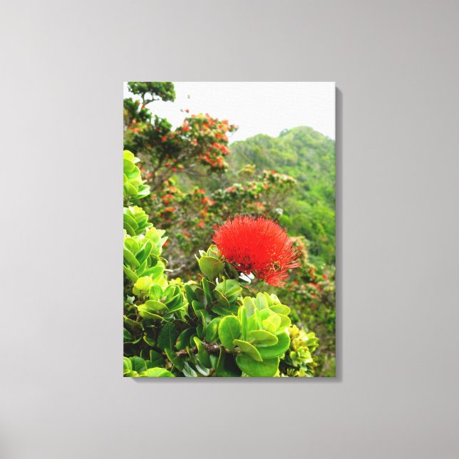 Koolau Mountains Canvas Print (Front)