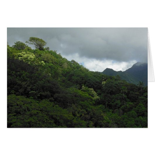 Koolau Mountains Cards (Front Horizontal)