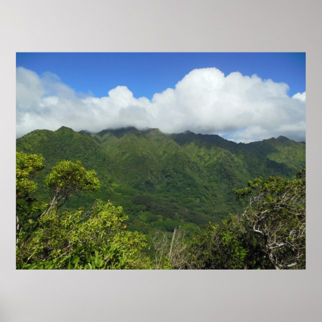 Koolau Mountains Poster (Front)