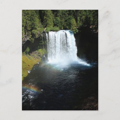 Koosah Falls Oregon Waterfall Postcard
