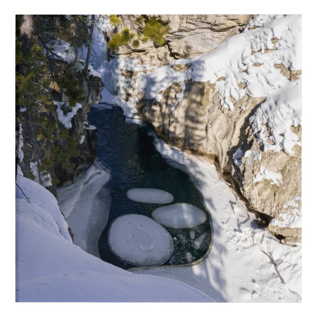 Kootenay River Numa Creek's Round Ice Sheet Acrylic Print (Front)