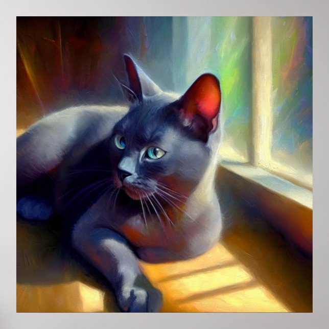 Korat Cat  Poster (Front)