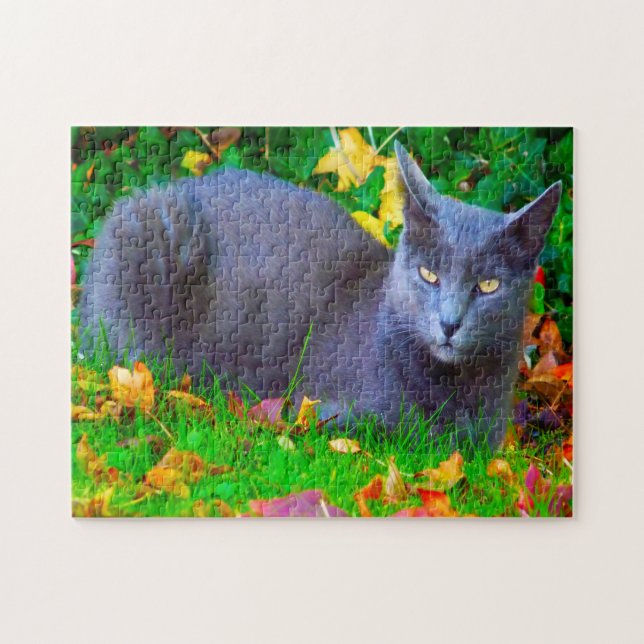 Korat Cats. Jigsaw Puzzle (Horizontal)