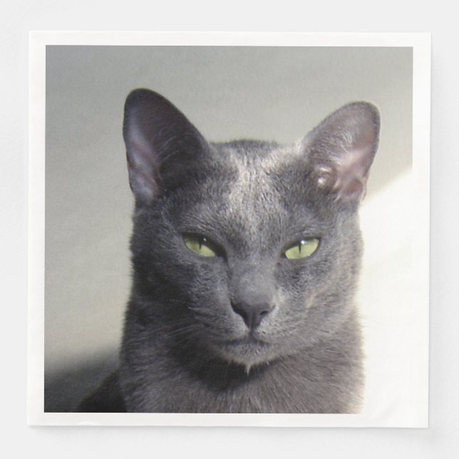 korat paper dinner napkins (Front)