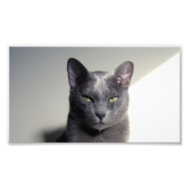 korat photo print (Front)