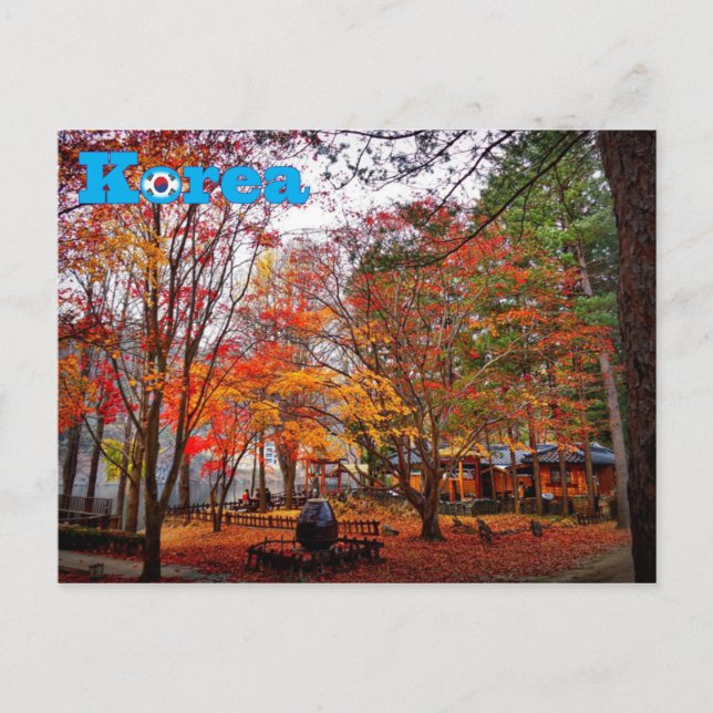 Korea Autumn Postcard (Front)