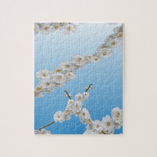 Korea Cherry Blossoms White Jigsaw Puzzle