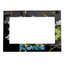 Korea Cherry Blossoms White