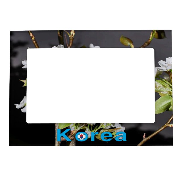 Korea Cherry Blossoms White Magnetic Picture Frame (Front)