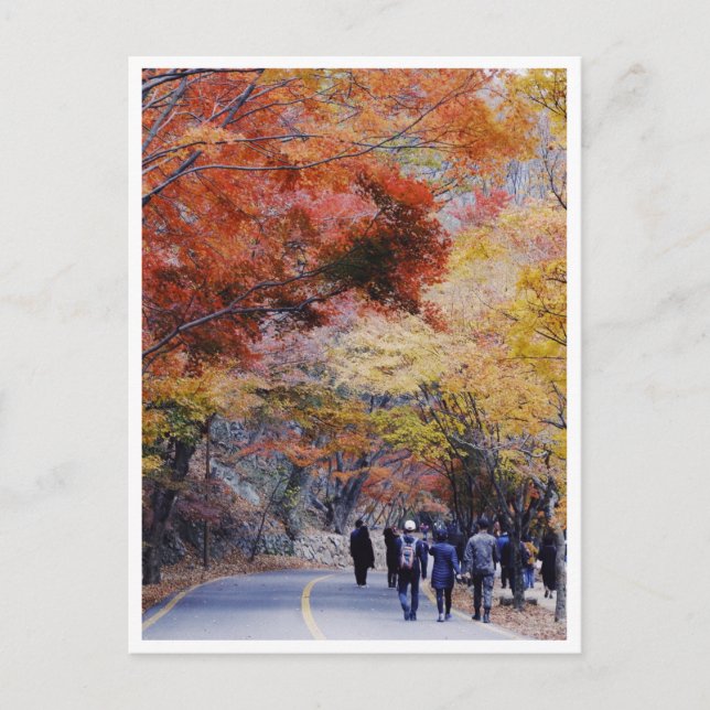 Korea Postcard (Front)