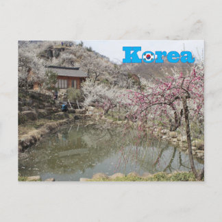Korea Spring Landscape Postcard