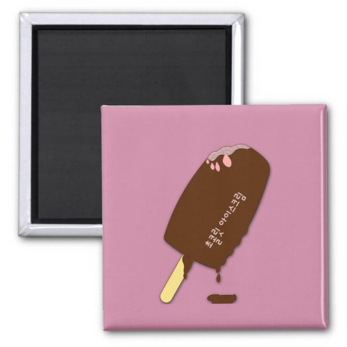 Korean Chocolate Icecream Magnet