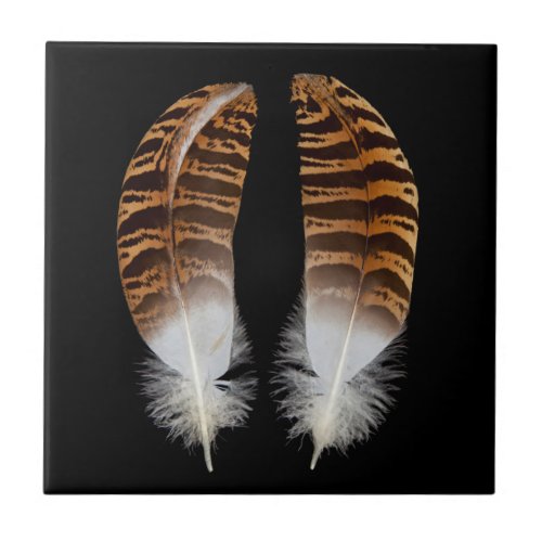 Kori Bustard Feathers Ceramic Tile