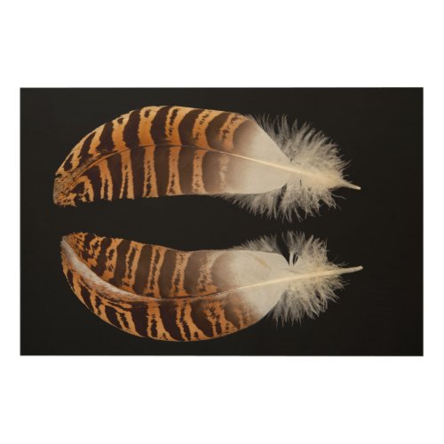 Kori Bustard Feathers Wood Wall Decor