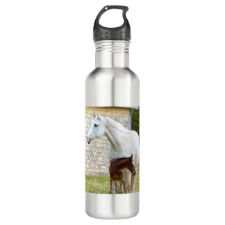 Korra_May7_2016_i11 Stainless Steel Water Bottle