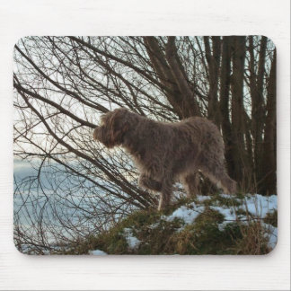 - Korthals Griffon -Tsjip pointing Mouse Pad