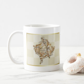 Kosovo Flag + Map Mug