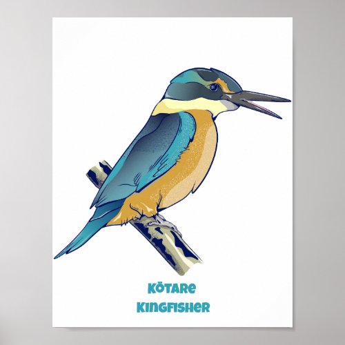Kotare Kingfisher NZ BIRD Poster