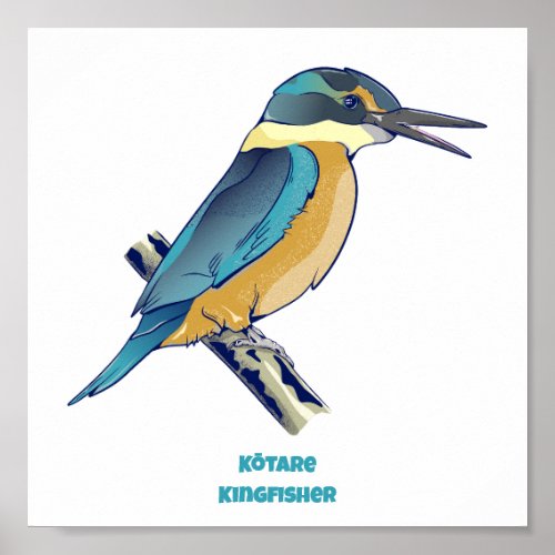 Kotare Kingfisher NZ BIRD  Poster