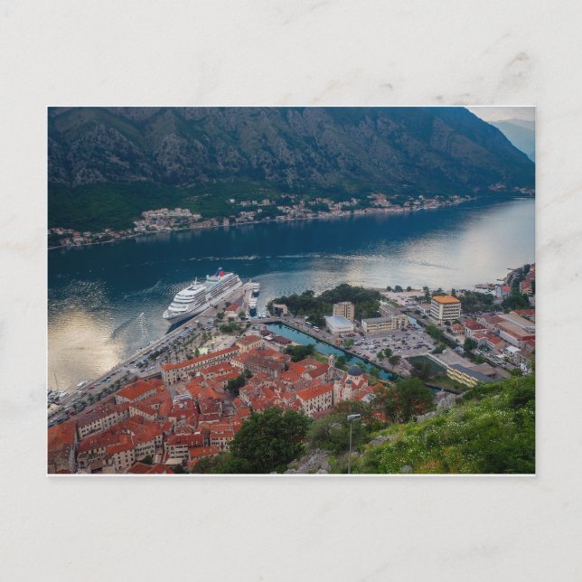 Kotor bay Montenegro Postcard (Front)