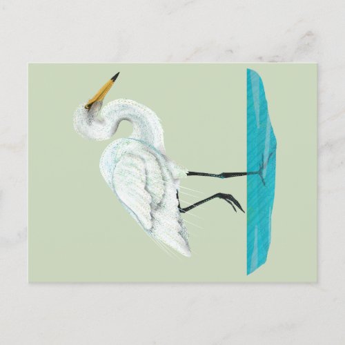 Kotuku  White heron Postcard