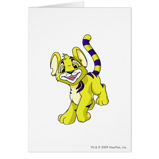 Kougra Yellow (Front)