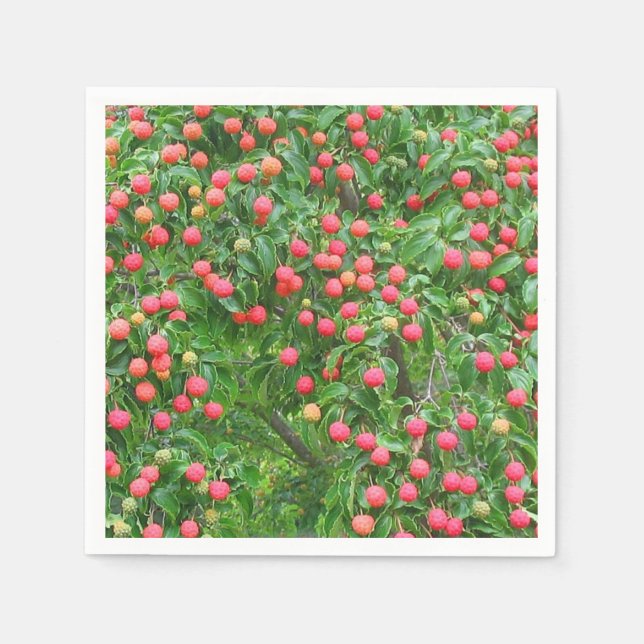 Kousa Dogwood Berries Paper Napkins (Front)
