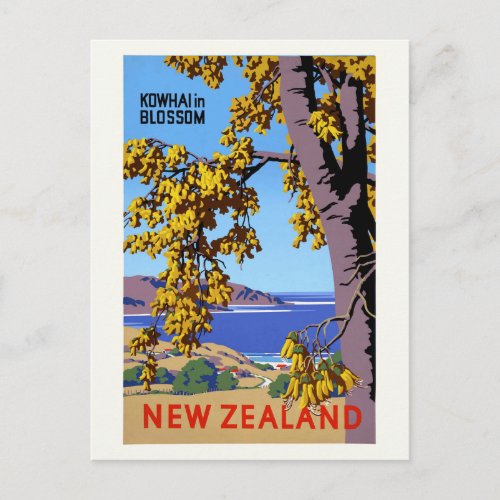 Kowhai in Blossom New Zealand Vintage Poster Postcard