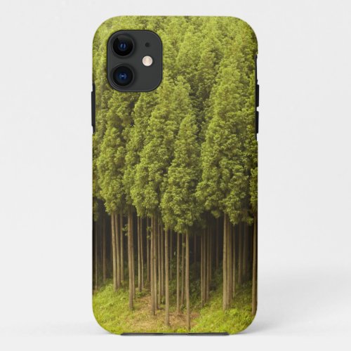 Koya Sugi Cedar Trees iPhone 11 Case
