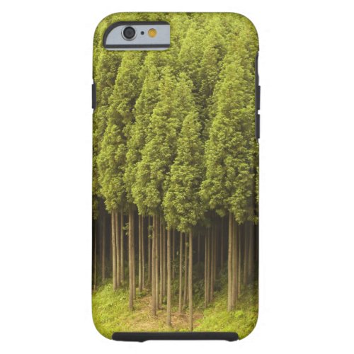 Koya Sugi Cedar Trees Tough iPhone 6 Case