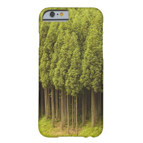 Koya Sugi Cedar Trees Barely There iPhone 6 Case