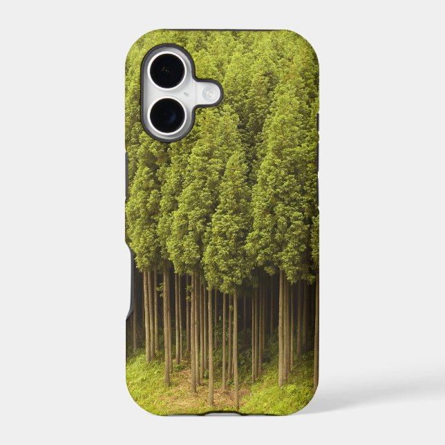 Koya Sugi Cedar Trees Iphone Case (Back)