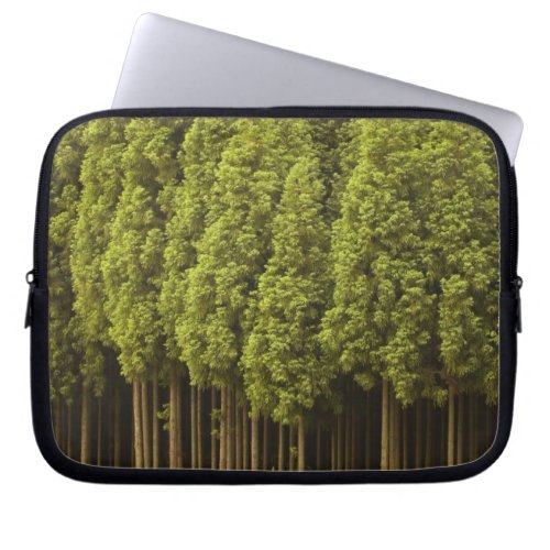 Koya Sugi Cedar Trees Laptop Sleeve