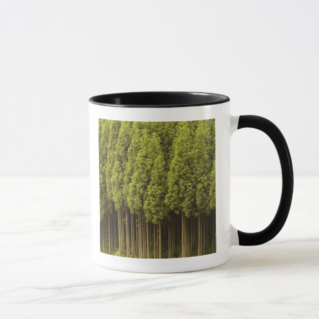 Koya Sugi Cedar Trees Mug (Right)