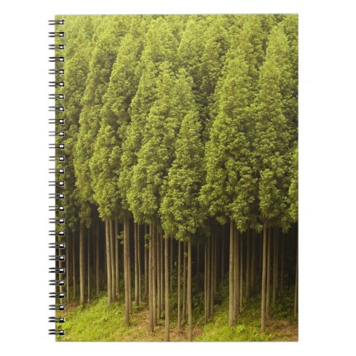 Koya Sugi Cedar Trees Notebook