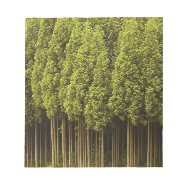 Koya Sugi Cedar Trees Notepad (Front)