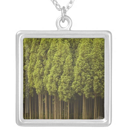 Koya Sugi Cedar Trees Silver Plated Necklace