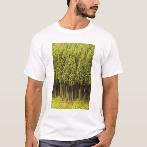 Koya Sugi Cedar Trees T_Shirt