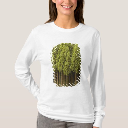 Koya Sugi Cedar Trees T_Shirt