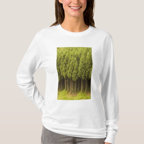 Koya Sugi Cedar Trees T_Shirt