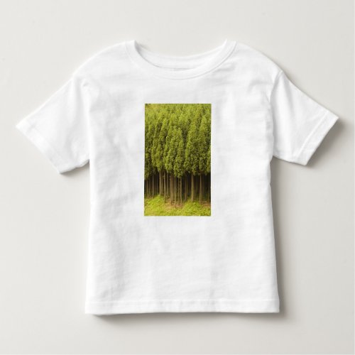 Koya Sugi Cedar Trees Toddler T_shirt