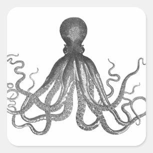 Kraken - Black Giant Octopus / Cthulu Square Sticker