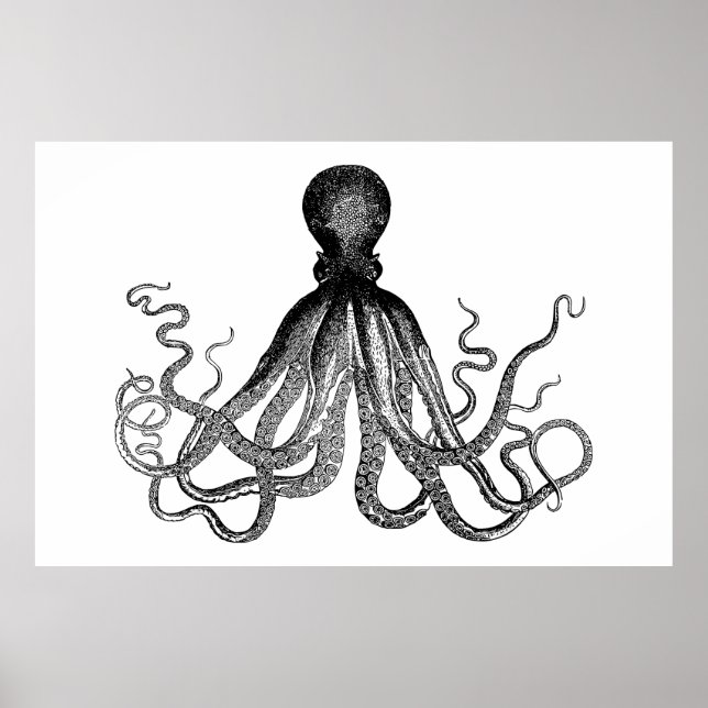 Kraken - Black Giant Octopus (extra large) Poster (Front)