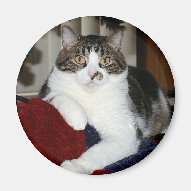 Kramer Magnet (Front)