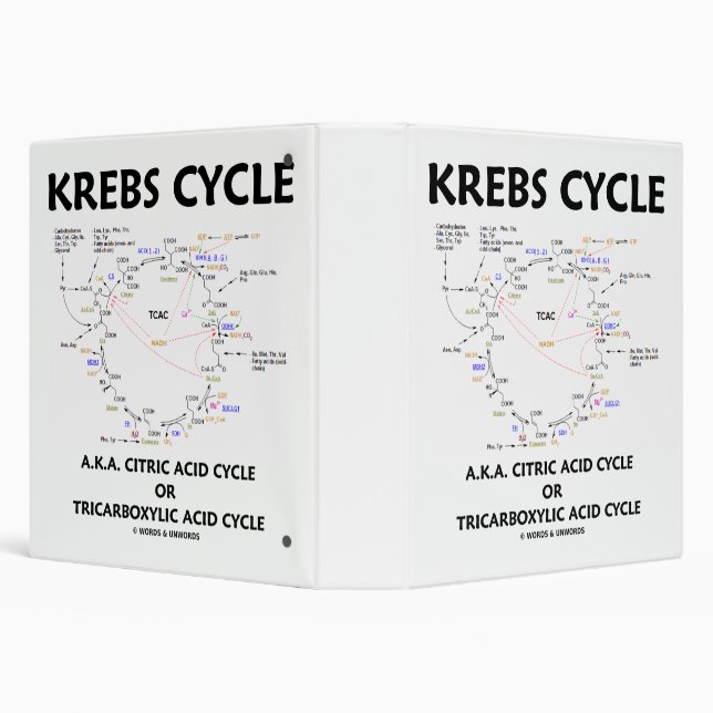 Krebs Cycle A.K.A. Citric Acid Cycle Tricarboxylic 3 Ring Binder (Background)